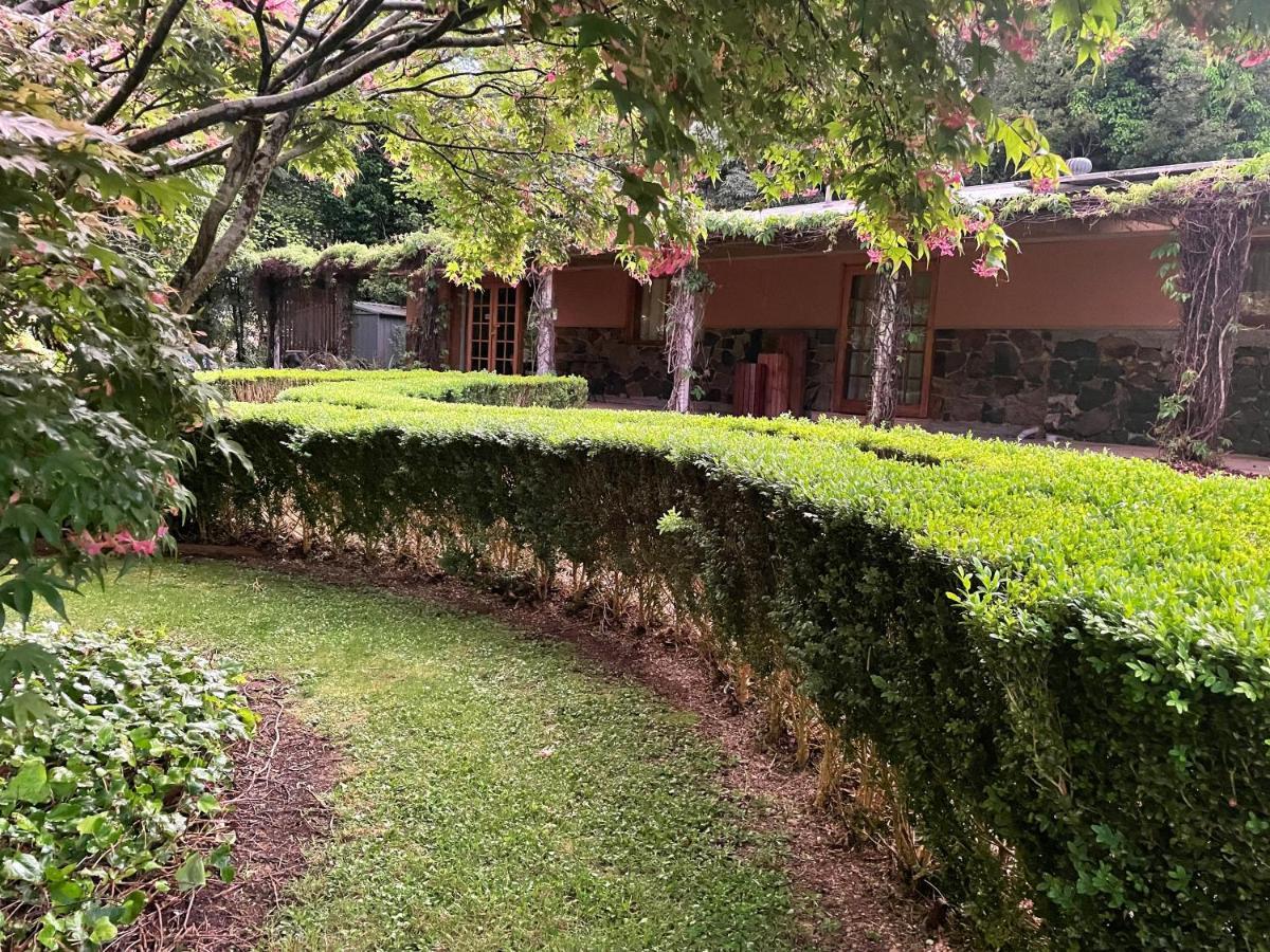 The Garden *